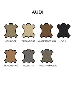 Colourlock Zestaw tonujący do skóry BMW Oyster 50ml