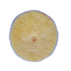RUPES Tarcza polerska z wełny 130/150mm Yellow wool żółta medium