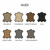 Colourlock Zestaw tonujący do skóry Audi Hellgrau 50ml
