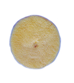 RUPES Tarcza polerska z wełny 80/90mm Yellow wool żółta medium