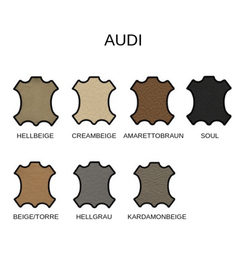 Colourlock Zestaw tonujący do skóry BMW Schwarz 50ml