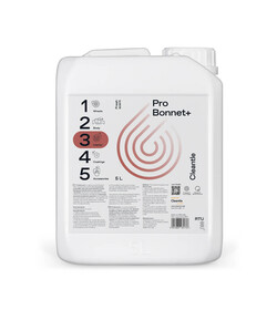 Cleantle Pro Bonnet+ 5L - środek do czyszczenia podsufitki i tekstyliów