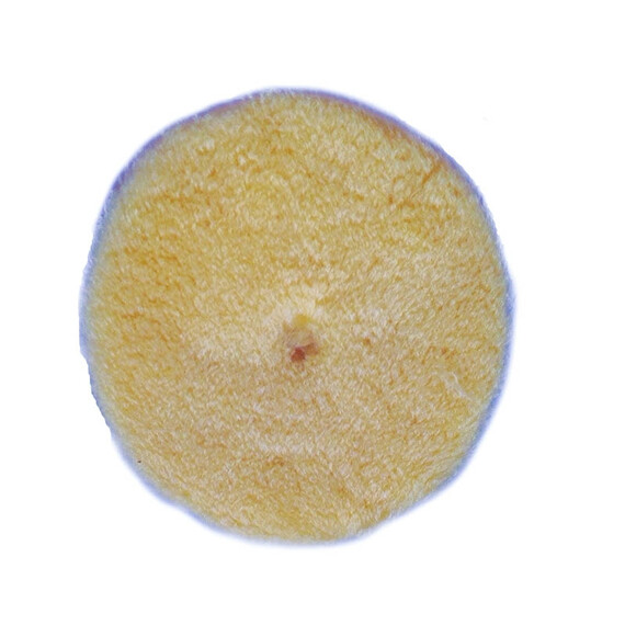 RUPES Tarcza polerska z wełny 130/150mm Yellow wool żółta medium